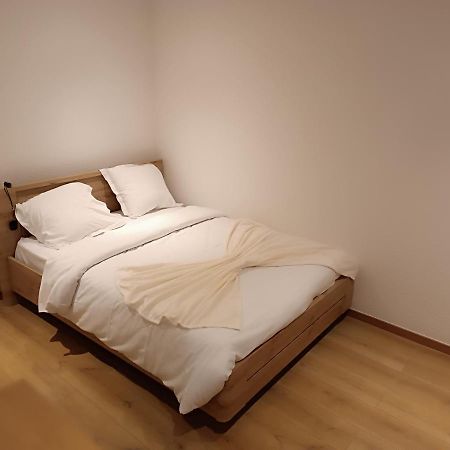 Fribourg Apartment Colmar Bagian luar foto
