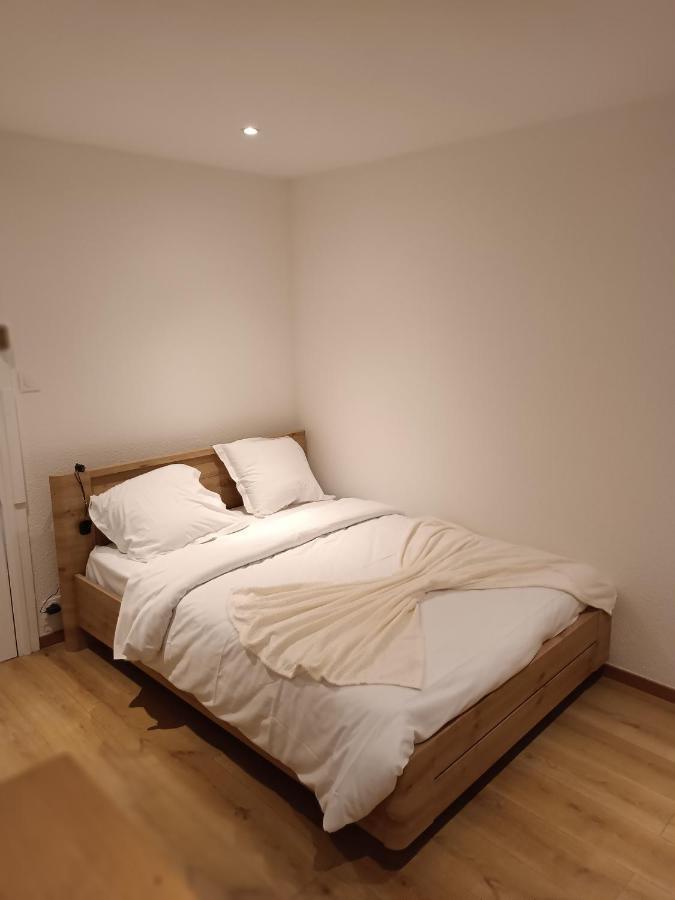Fribourg Apartment Colmar Bagian luar foto