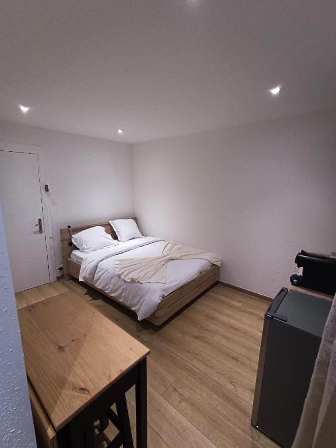 Fribourg Apartment Colmar Bagian luar foto